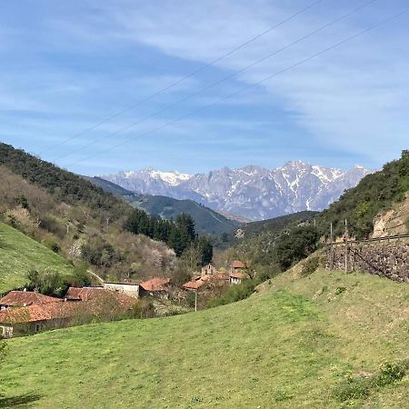 Apartamento Picos De Europa Cabezon de Liebana Bagian luar foto