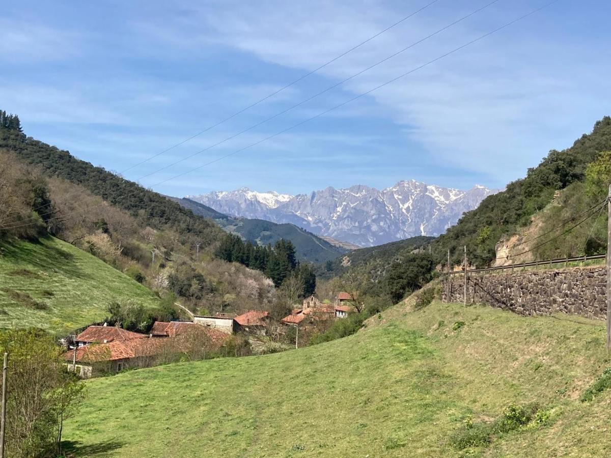 Apartamento Picos De Europa Cabezon de Liebana Bagian luar foto