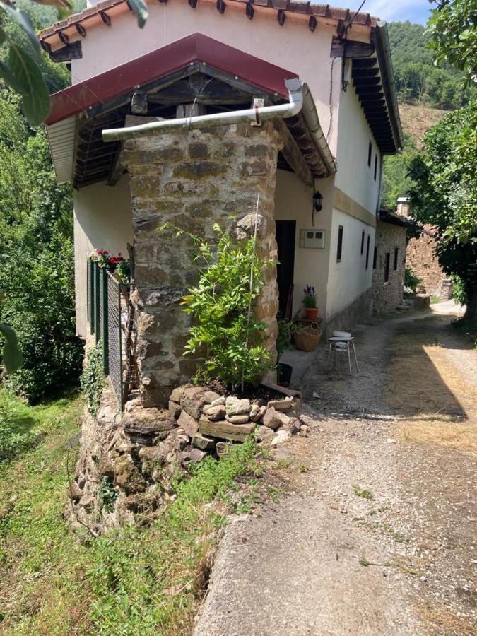 Apartamento Picos De Europa Cabezon de Liebana Bagian luar foto